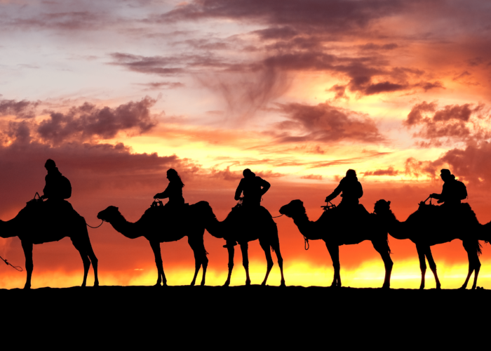Sunset Camel Ride in Merzouga