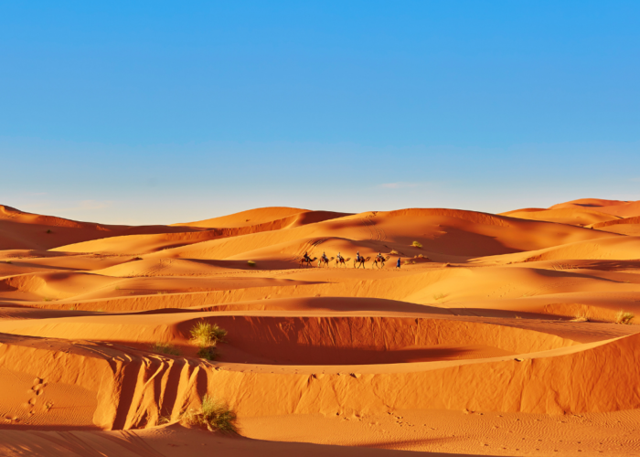 5 Days Desert Tour Fes to Marrakech