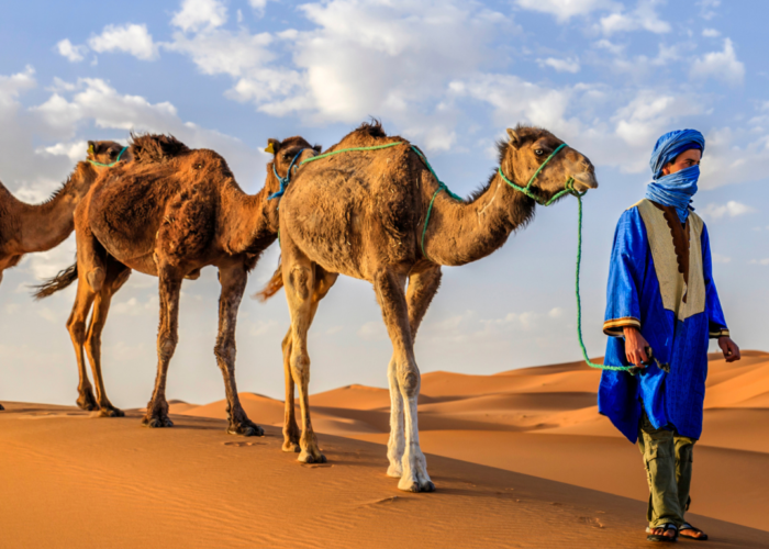 4 Days Desert Tour from Fes to Merzouga