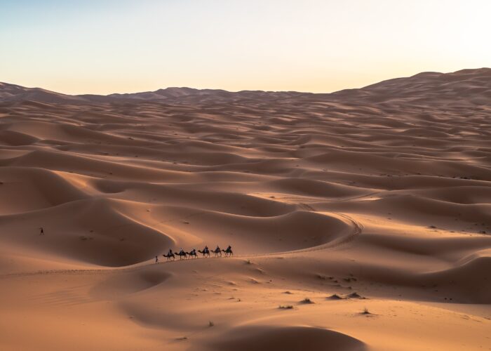 15 Days Tour from Casablanca