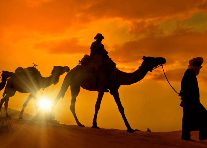 2 Nights Camel Trekking Merzouga