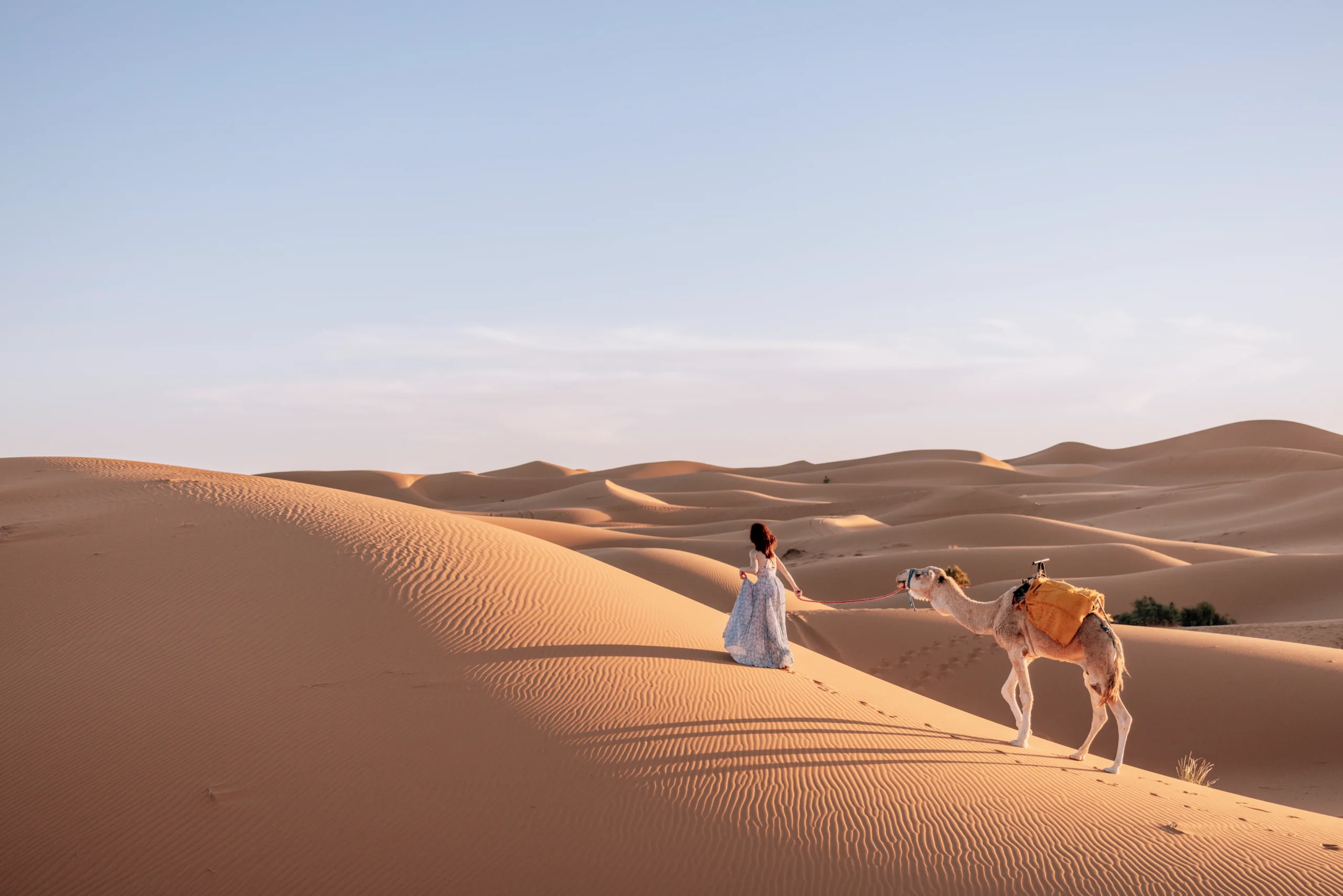 3 Nights Camel Trekking Merzouga