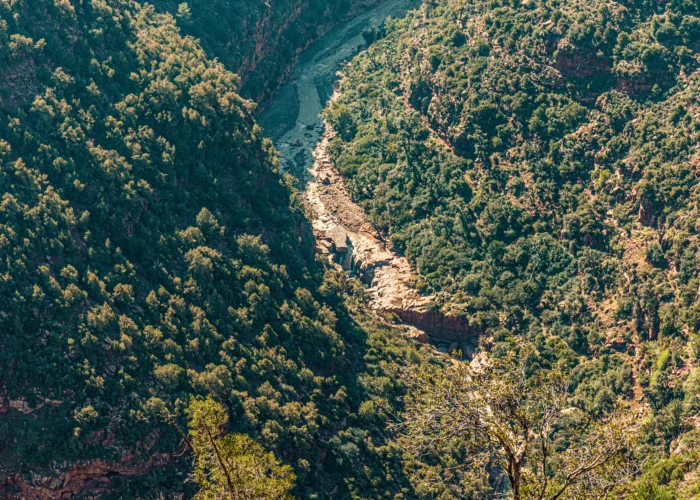 1 Day Trip Marrakech to Ourika Valley