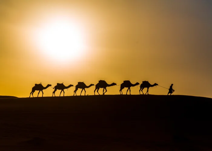 2 Nights Camel Trekking Merzouga