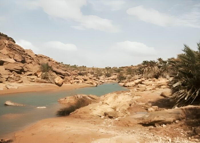 Merzouga Day Trip to Safsaf Oasis